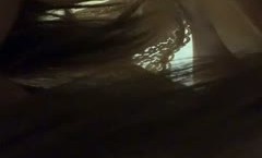 贱货