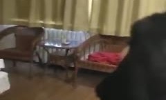 酒jiu店捉奸现场，和平谈判呵XXX𝓜𝕚𝕤𝕤𝔸𝕍女的还颜值ok 骨感类型 看脸蛋就是个骚娘们！