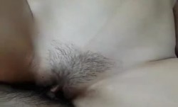 黑吊和这茂密的小森林