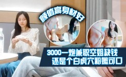 肥尸探花3000一炮.兼职空姐缺钱偶尔才做颜值高身.材好还是个白虎屄粉嫩可口