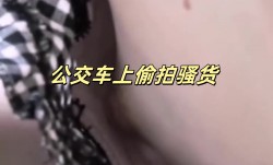 公交车上偷.拍骚.货