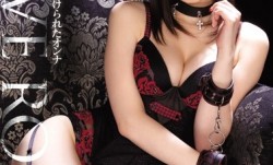 IPZ-315 SLAVE ROOM 性奴隷オークションにか