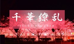 MissAV18-Asia-91-FC2-3308060 最新上市！【輝きの」LAST」 DIAMOND】乙葉ちゃんの人生で一番若く美しい時期に残し-cd2