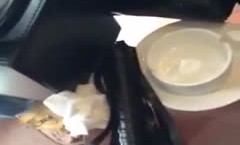 宠物狗𝓜操cao主人