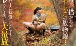 FSET-599 下校中に野ションする女子校生2