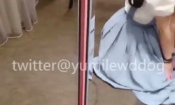 喜欢小母狗这样跪着吃吗