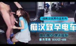 π358 中出列车，即上即孕_WANZ-408_